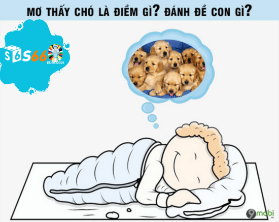 Ý Nghĩa Của Giấc Mơ Về Chó