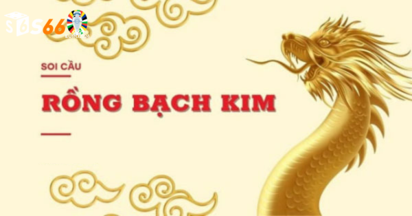 Hiểu rõ về soi cầu rồng bạch kim 247