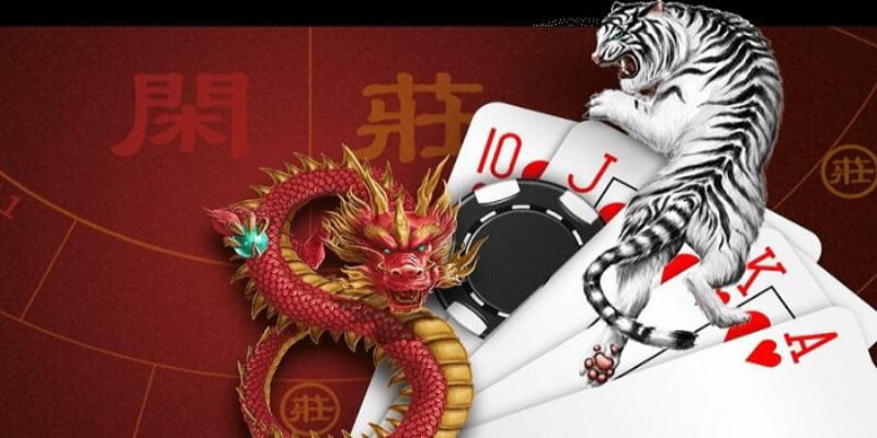 Tìm hiểu về bộ môn Rồng hổ S666