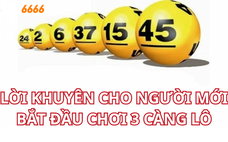 Lời Khuyên Cho Người Mới Bắt Đầu Chơi 3 Càng Lô