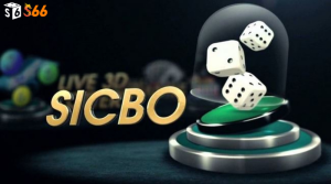 Hiểu rõ luật chơi Sicbo S666