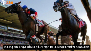Đa dạng loại hình cá cược đua ngựa trên S666 App
